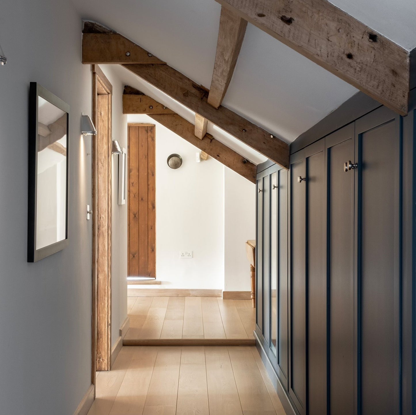 Ammonite Engineered Oak