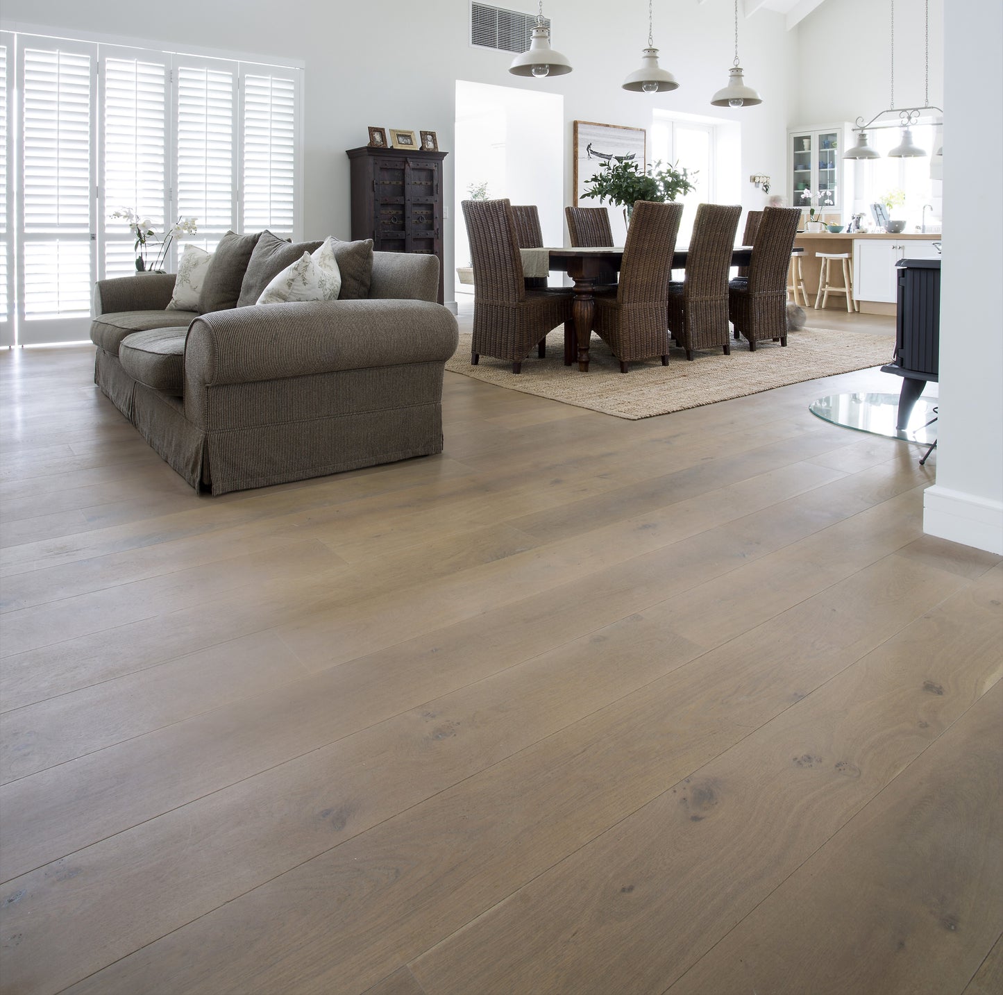 Ammonite Engineered Oak