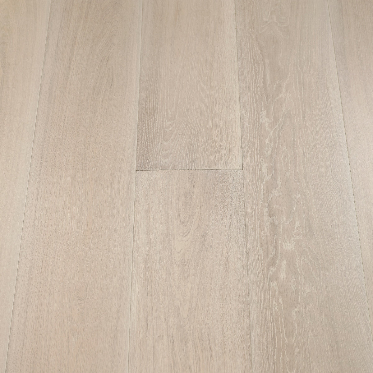 Ammonite Oak Sample