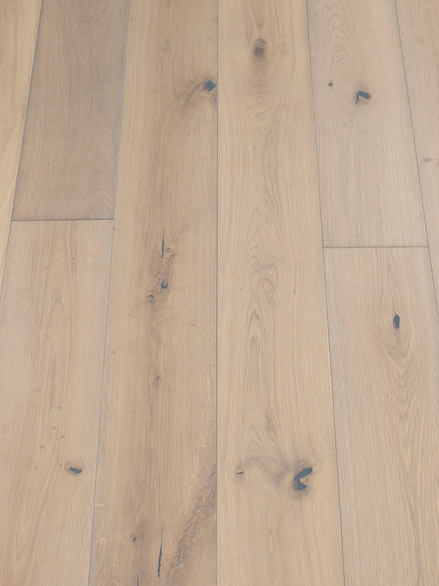 Silver Sand Engineered Oak